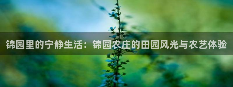 pg电子嘉年华暴分视频