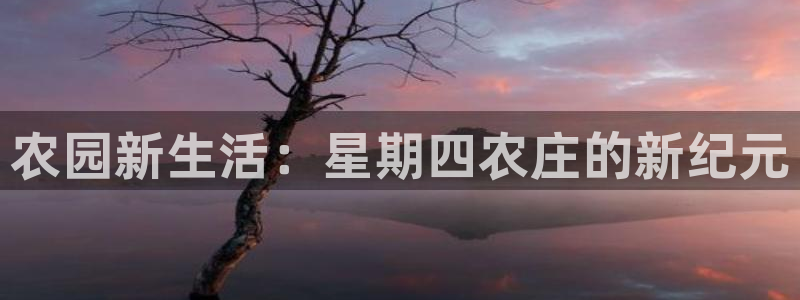 PG电子娱乐平台