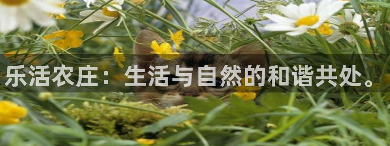 pg电子不会一直杀你