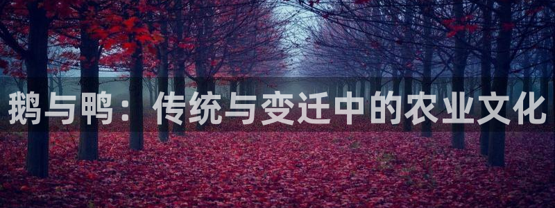 PG电子游戏怎么卡免费