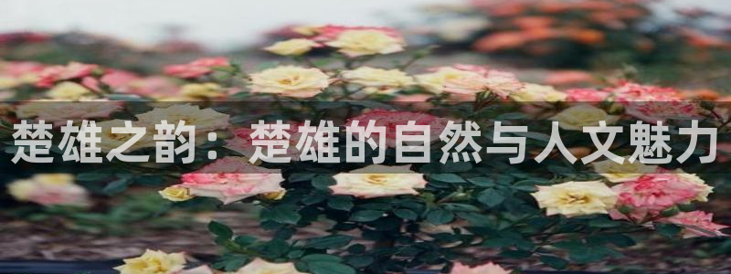 pg电子试玩模式网址