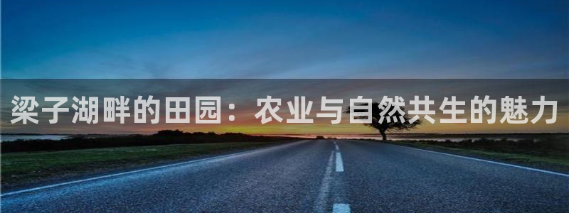 pg电子游戏寻龙夺宝