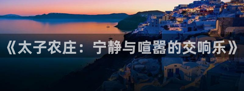 赌pg电子游戏输到视频