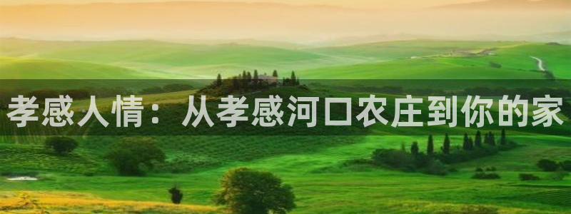 单机pg电子游戏