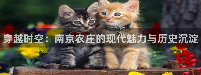 pg电子免费游戏爆分