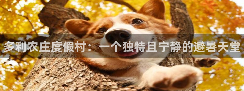 麻将胡了pg电子套路