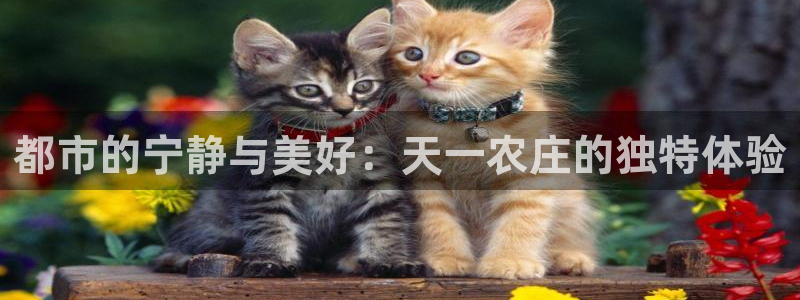 pg电子要怎样容易中奖