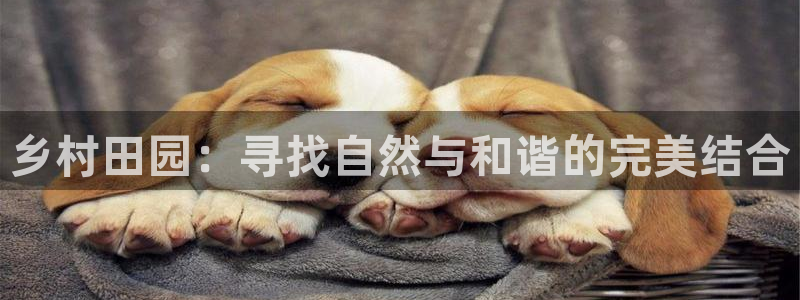 pg电子游戏象财神视频