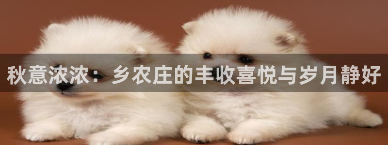 免费pg电子游戏苹果版