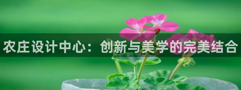 pg电子游戏可以按吗
