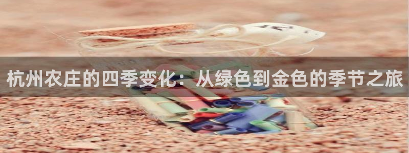 转出至PG电子什么意思