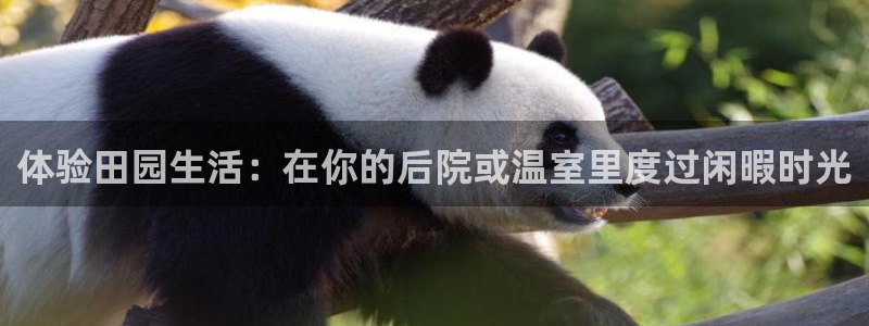 pg电子美洲野牛视频