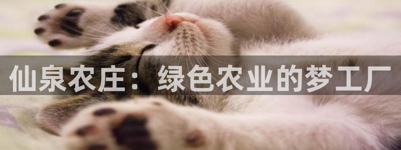 pg电子正规平台