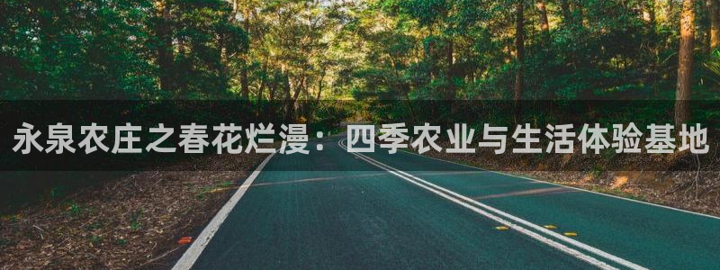 pg电子首页官方网站