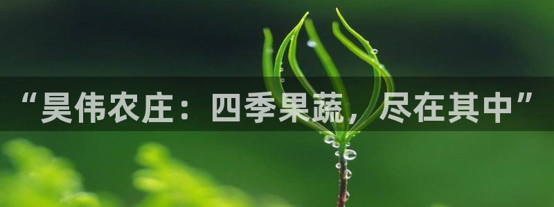 pg电子游戏江山美景图