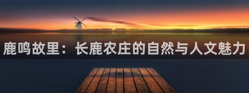 PG电子平台网址