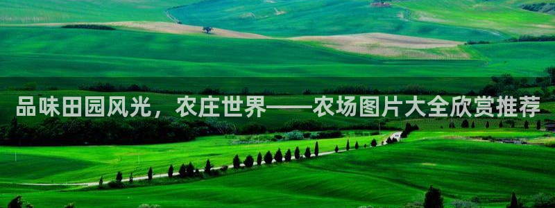 pg电子日月星辰