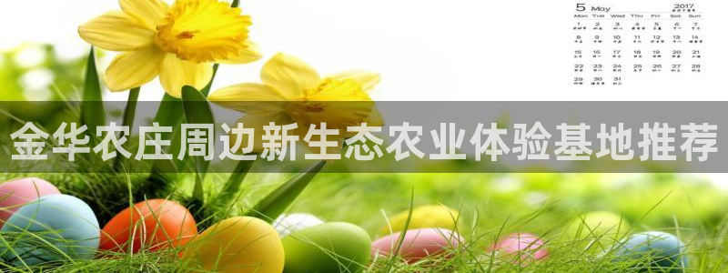 pg电子注单未返回